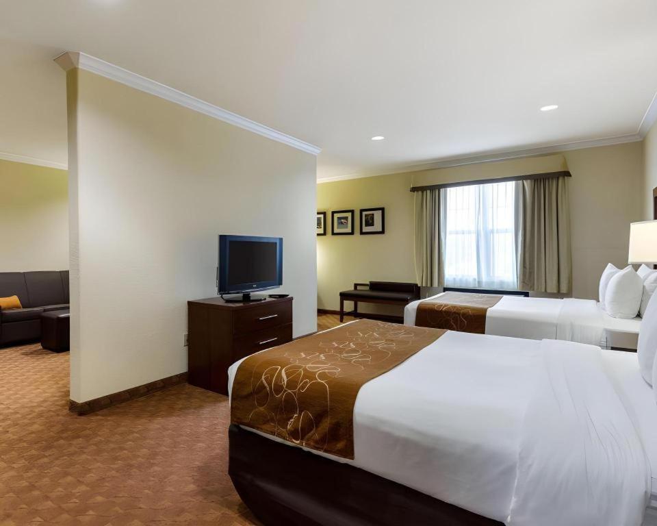 וובסטר Comfort Suites Near Nasa - Clear Lake מראה חיצוני תמונה