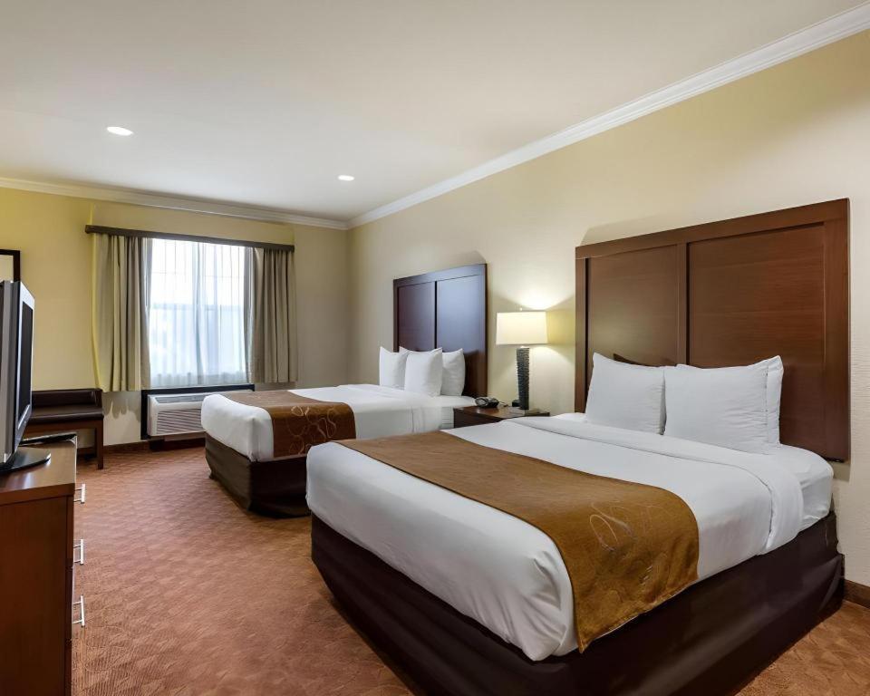 וובסטר Comfort Suites Near Nasa - Clear Lake מראה חיצוני תמונה
