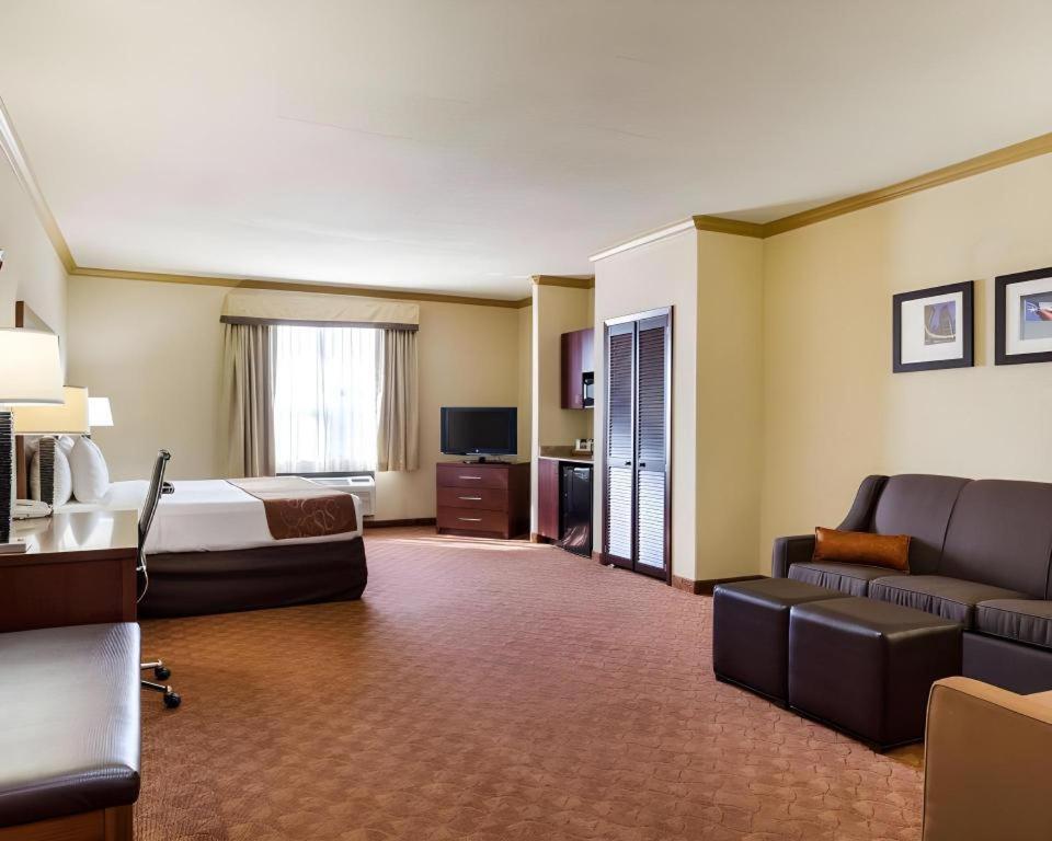 וובסטר Comfort Suites Near Nasa - Clear Lake מראה חיצוני תמונה