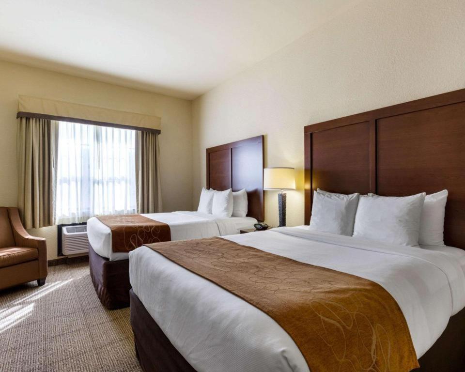 וובסטר Comfort Suites Near Nasa - Clear Lake מראה חיצוני תמונה