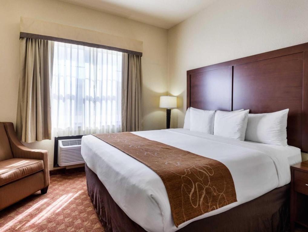 וובסטר Comfort Suites Near Nasa - Clear Lake מראה חיצוני תמונה