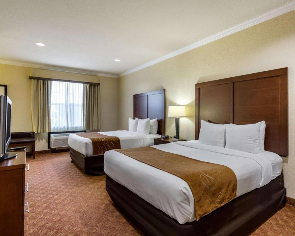 וובסטר Comfort Suites Near Nasa - Clear Lake מראה חיצוני תמונה