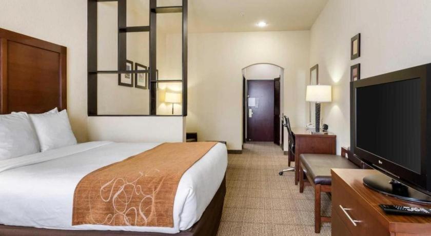 וובסטר Comfort Suites Near Nasa - Clear Lake מראה חיצוני תמונה