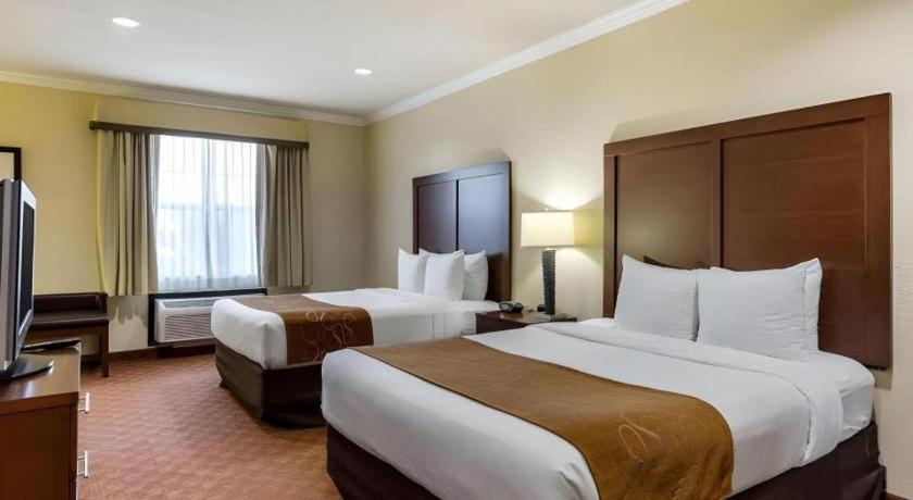 וובסטר Comfort Suites Near Nasa - Clear Lake מראה חיצוני תמונה