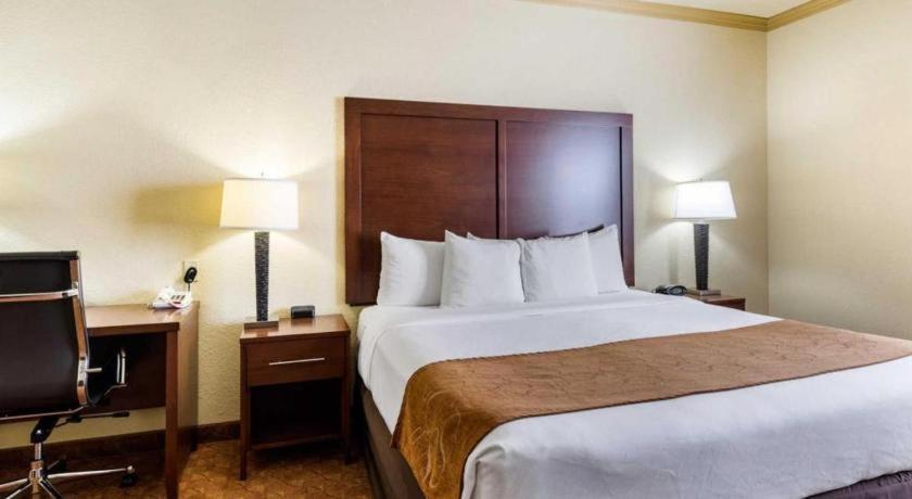 וובסטר Comfort Suites Near Nasa - Clear Lake מראה חיצוני תמונה