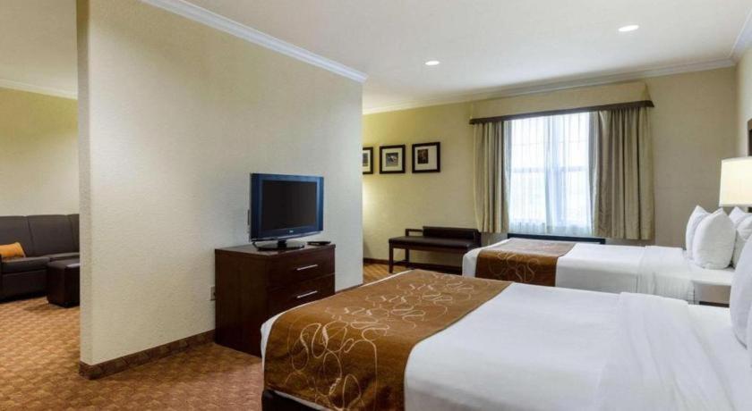 וובסטר Comfort Suites Near Nasa - Clear Lake מראה חיצוני תמונה