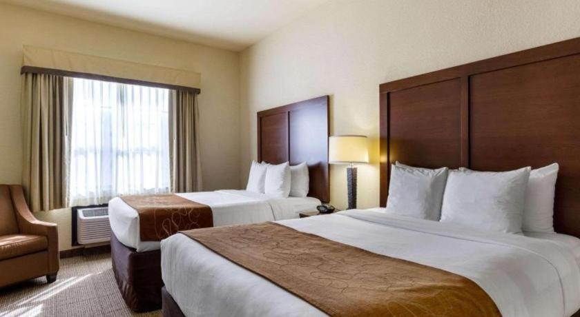וובסטר Comfort Suites Near Nasa - Clear Lake מראה חיצוני תמונה